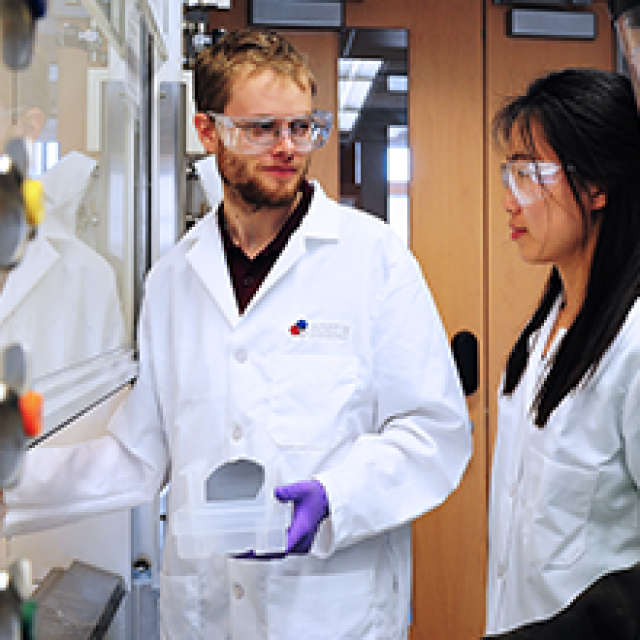 Two research fellows working in a lab