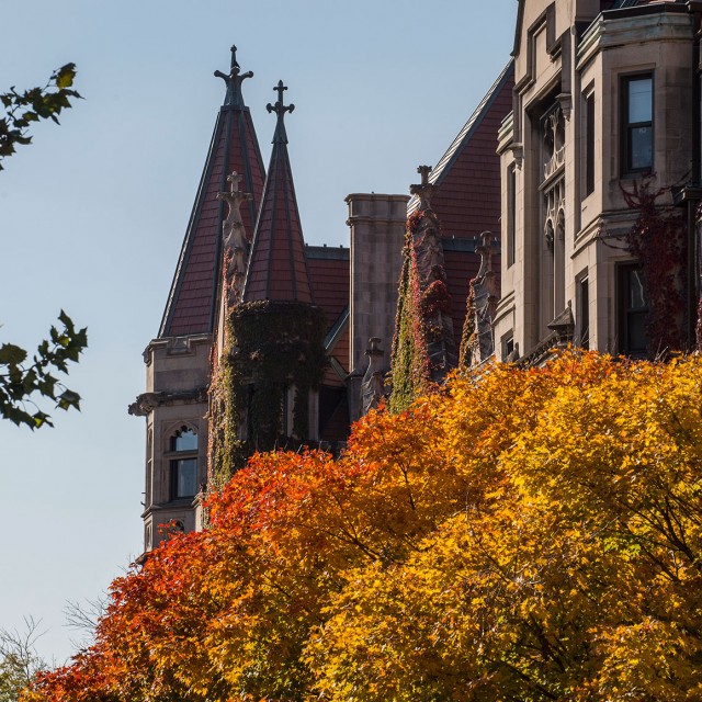 image of uchicago in autumn